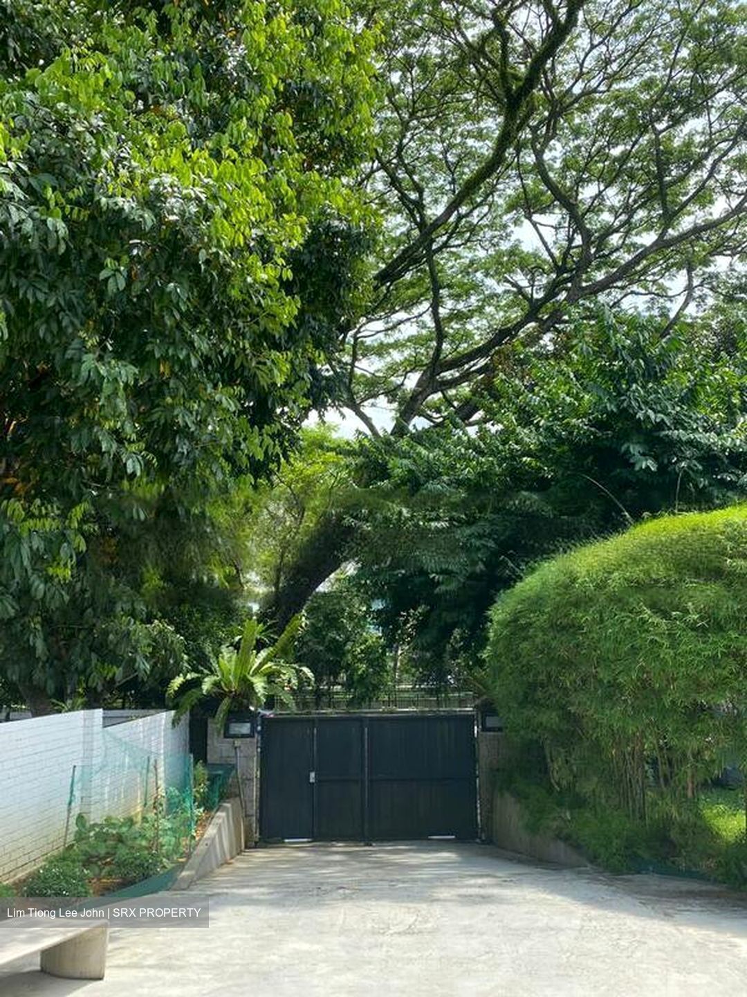 Turf Club Road (D11), Detached #466533201